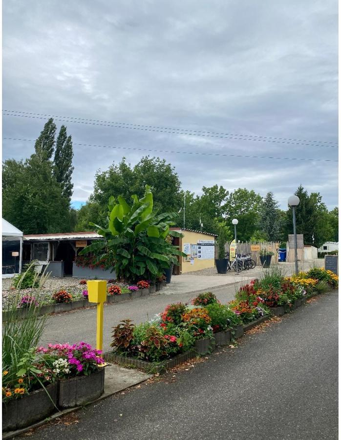 Mobile Home Proche De Europa Park Boofzheim Exteriér fotografie